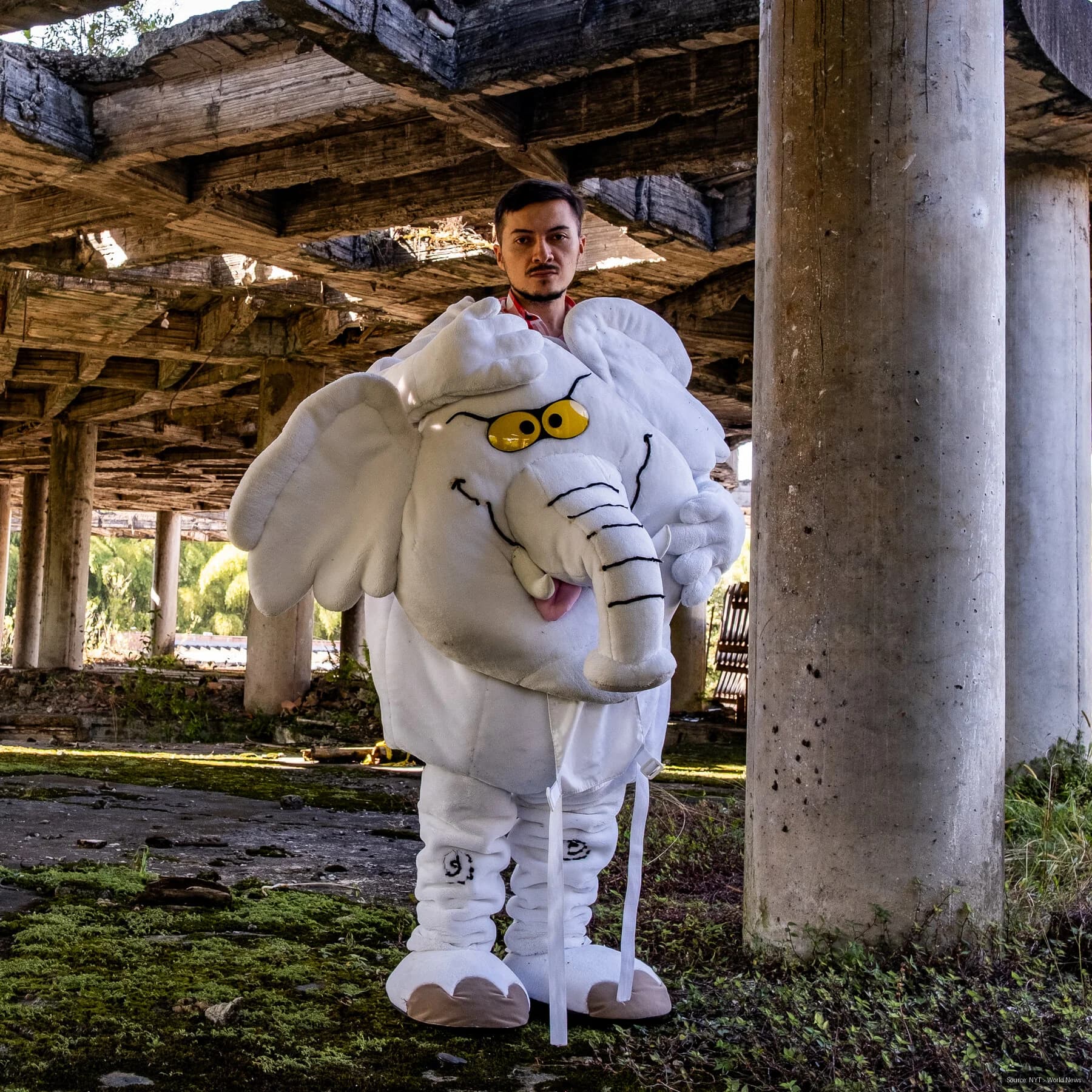 Elephant Activist Fights Colombian Corruption, Becomes Senator