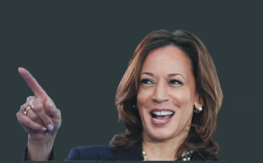 Kamala Harris speaks at a public event, addressing future political plans in the United States.