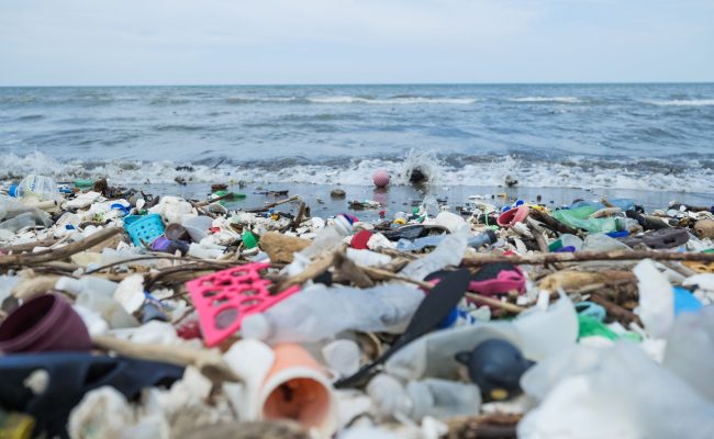 A sea turtle swimming near floating plastic debris in the ocean, highlighting the impact of pollution on marine life.