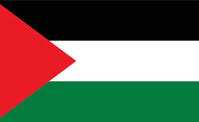 Palestine Flag